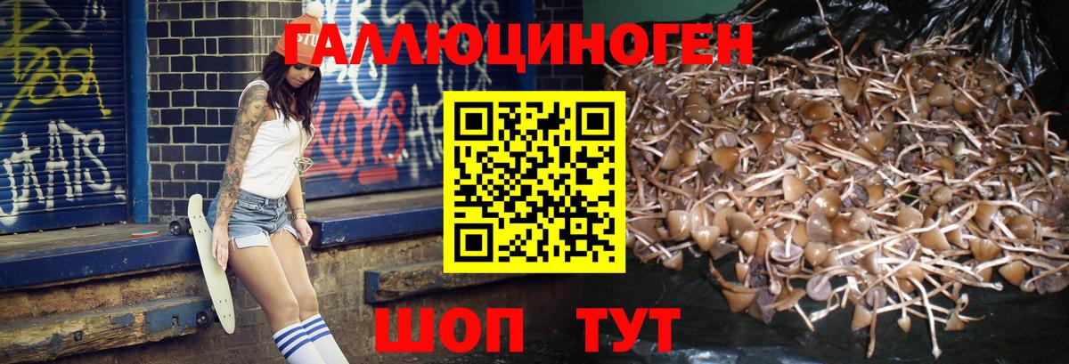 Сочи  Псилоцибиновые грибы Psilocybe  Вход с VPN  Псилоцибиновые грибы MAGIC MUSHROOMS 